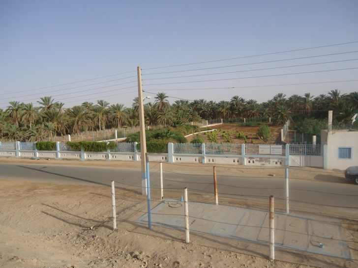 Zone humide artificielle, constructed wetland, Algérie, Algeria, Sustainable Water, Développement durable